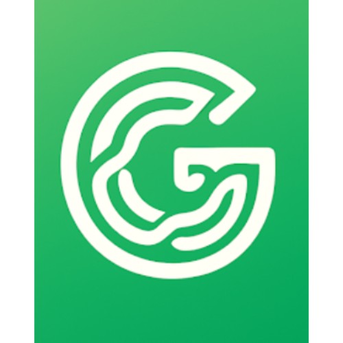 Gaeilgeoir AI logo